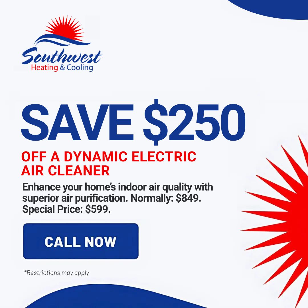 Save $250 Off a Dynamic Electric Air Cleaner