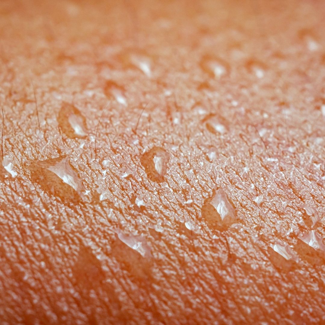 "Dry Mode" 101: How to Use Your Heat Pump to Kill Indoor Humidity